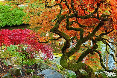 因涉嫌作弊或非法升级 《铁拳7》已封禁超过400个账号