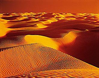 国际足联称《FIFA》最新作将与EA足球游戏展开交锋