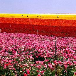 索尼PS5创收130亿美元！ 单代利润超PS1到PS4四代主机总和